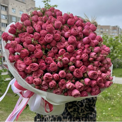 Букет 51 кустовая роза Гранд Трендсетер