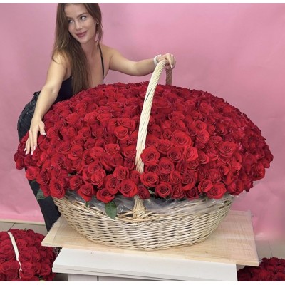 Корзина из 501 эквадорской розы