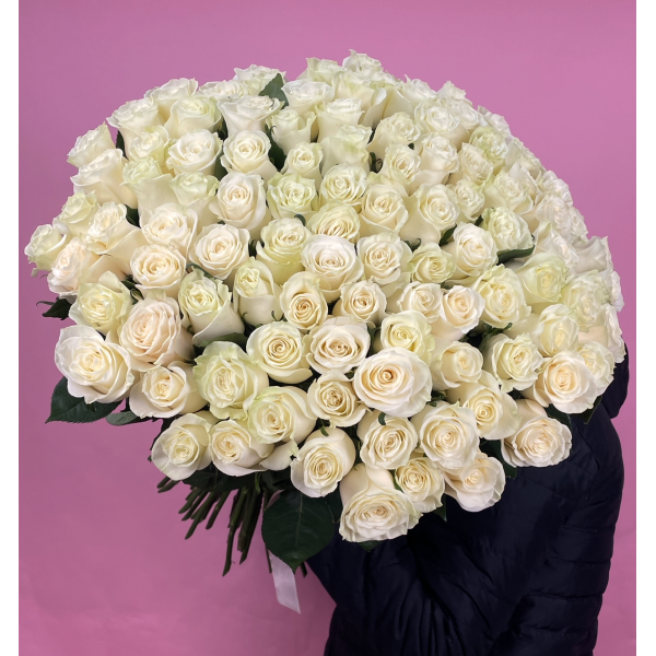 101 роза белая Эквадор премиум 60 см