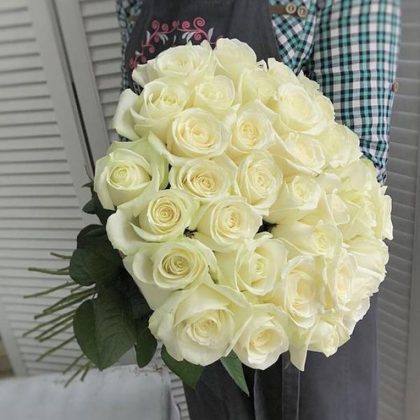 Букет 35 белых роз Эквадор