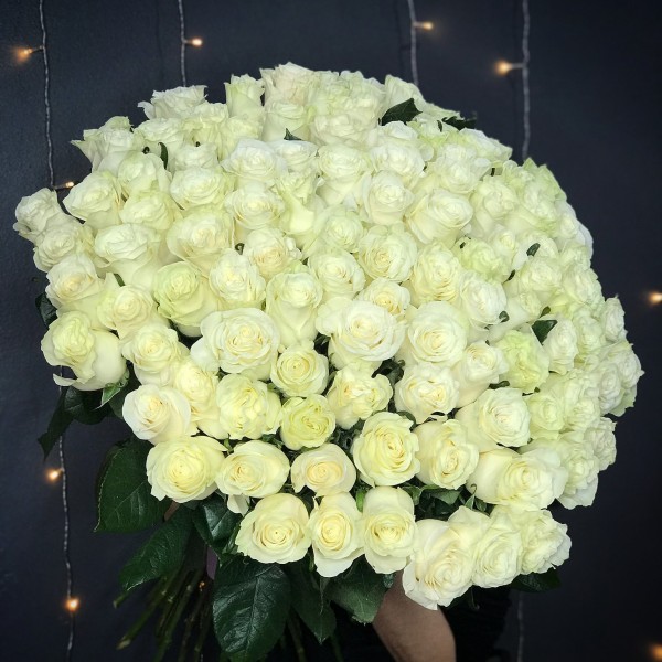 101 роза белая Эквадор премиум