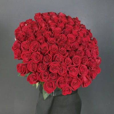 101 красная роза  Эквадор 60 см