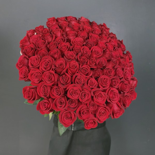 101 красная роза  Эквадор 60 см