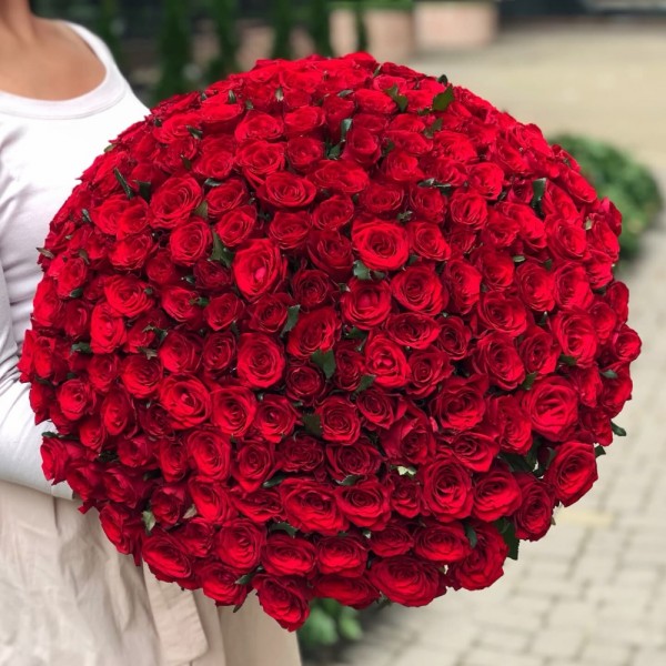 101 роза купить для девушки в Гродно